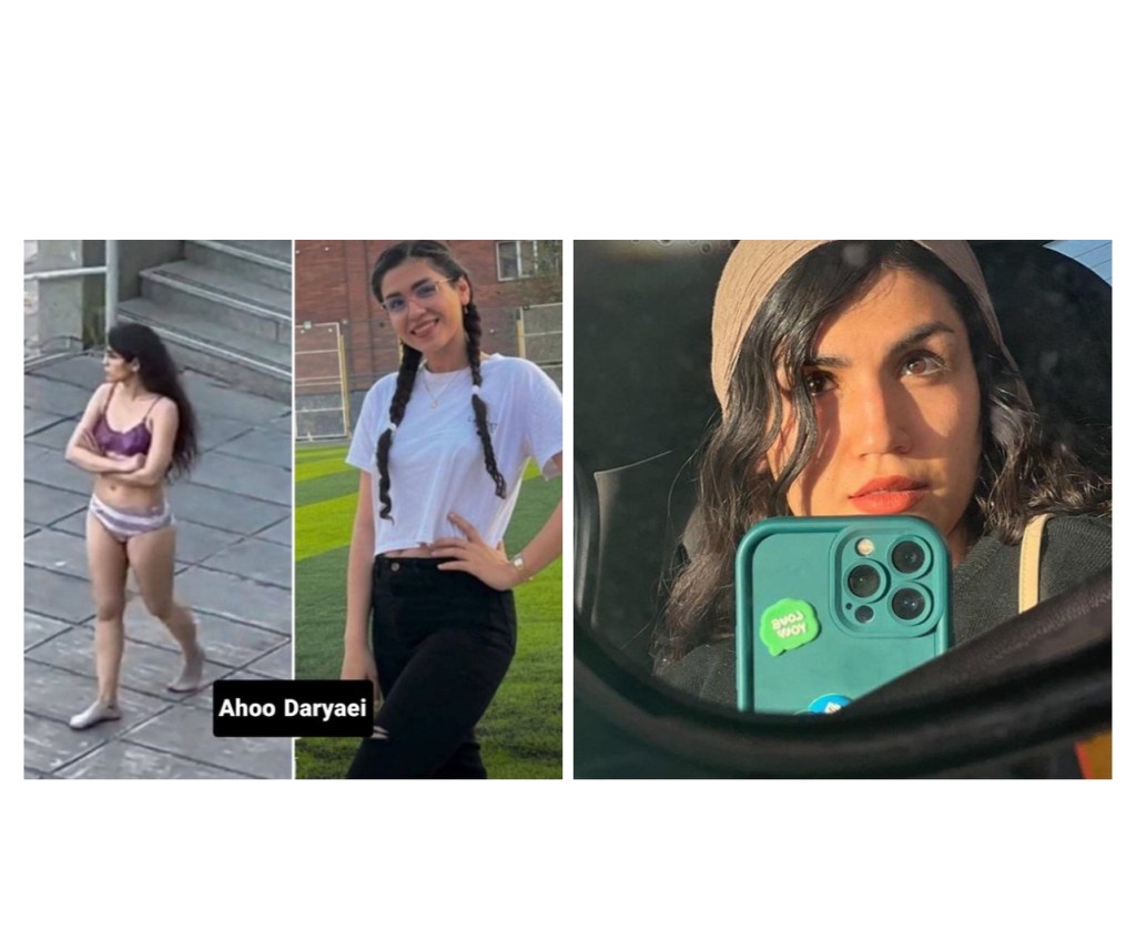 Cosa dobbiamo dire su quanto è stato detto su Ahoo Daryaei